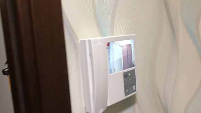 Монитор домофона Vizit M406 и индивидуальная панель БВД-403CPL смотреть онлайн