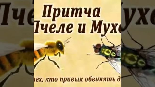 Мудрая притча. смотреть онлайн