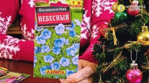 Лучшие Семена Цветов. Рекомендует НАТАЛЬЯ ПЕТРЕНКО