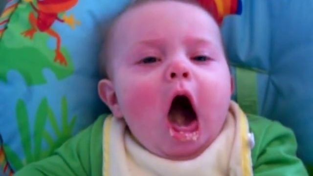 Chase's first taste of chicken смотреть онлайн