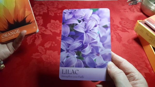The Secret Language of Colour Cards - Unboxing, Review & Flip-Through смотреть онлайн