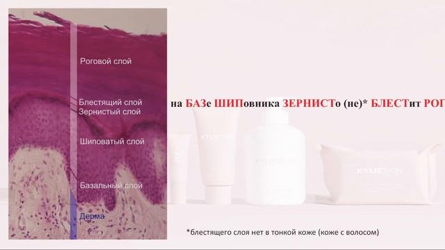 СЛОИ ЭПИДЕРМИСА // MNEMONIC смотреть онлайн