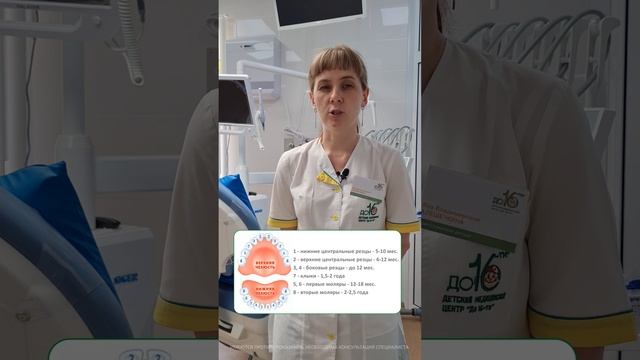 Когда должны прорезаться молочные зубы? смотреть онлайн
