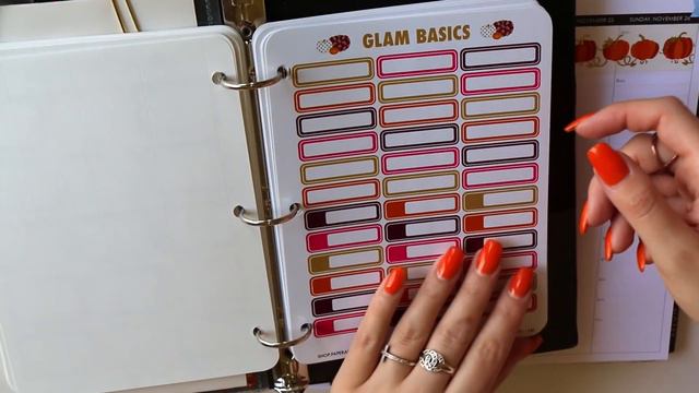 Plan With Me November - Erin Condren Hourly! смотреть онлайн
