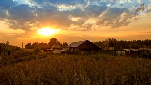 Волк учуял свёрток на кладбище, а когда узнали что внутри... смотреть онлайн