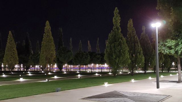 Музыка - В ночном саду смотреть онлайн