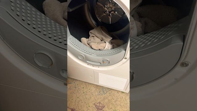 Как избавиться от запаха тухлятины после сушки белья?