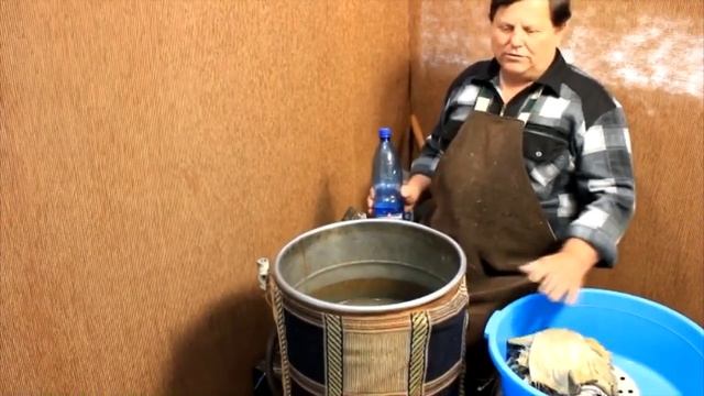 Дубление шкуры ондатры. Выделка ондатры смотреть онлайн