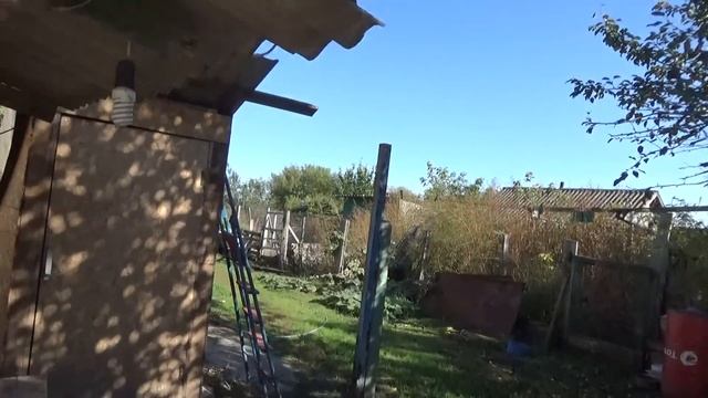 проспала, голубцы в свекольных листьях, обед на работу, Колина работа, Шаповаловы влог, 14 10