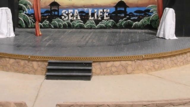 Charmillion Sea Life Resort 5* - Чармиллион Сиа Лайф Резорт - Египет, Шарм-Эль-Шейх | обзор отеля