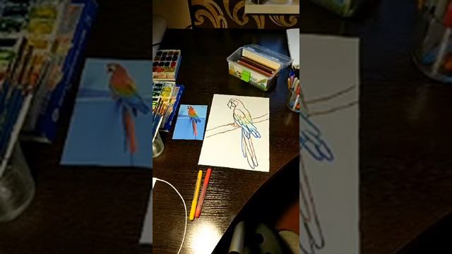 ✅Прямая трансляция✅ ✍ Рисуем попугая карандашами смотреть онлайн