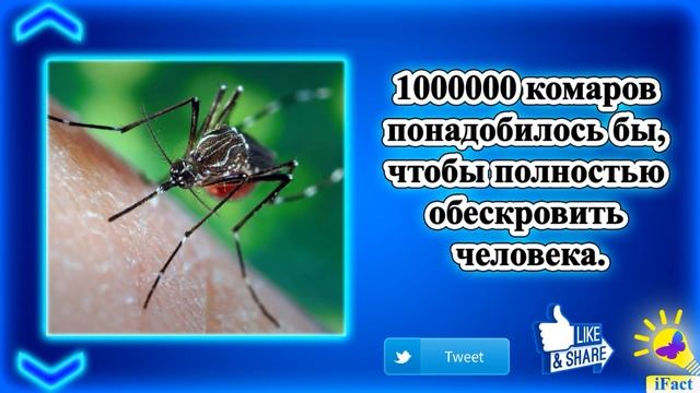 Факт + для всех iPhone iPad iPadPro смотреть онлайн