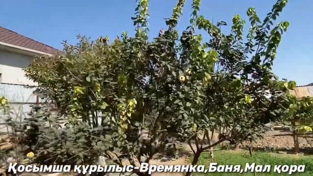 Қызлорда/Взлетка/Әшім Ибраев16Үй/Жер үй сатылады/Хоз пос-Времянка,баня,навес/42Млн/8-771-093-30-04