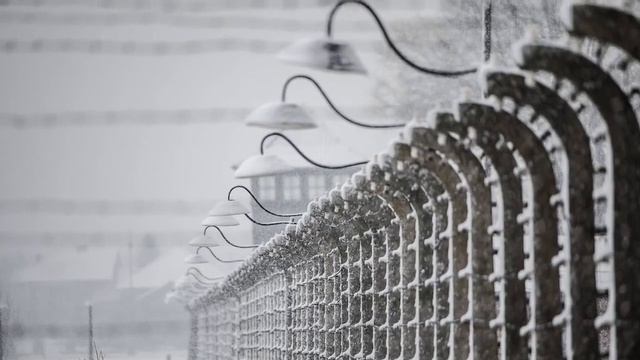 ВИКТОР ФРАНКЛ   история жизни