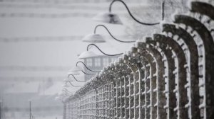 ВИКТОР ФРАНКЛ   история жизни