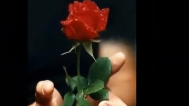 Для любимой.flv смотреть онлайн
