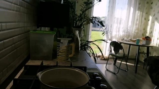 Эксперименты на Плите