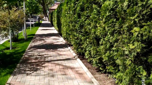 Улица мира смотреть онлайн