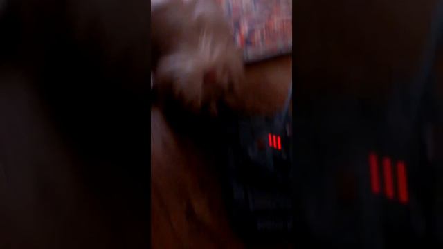Лает на танк) смотреть онлайн