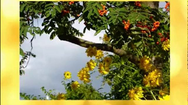 Август августейший смотреть онлайн