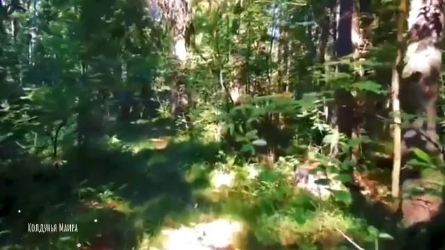 Как наладить контакт с духами местности смотреть онлайн