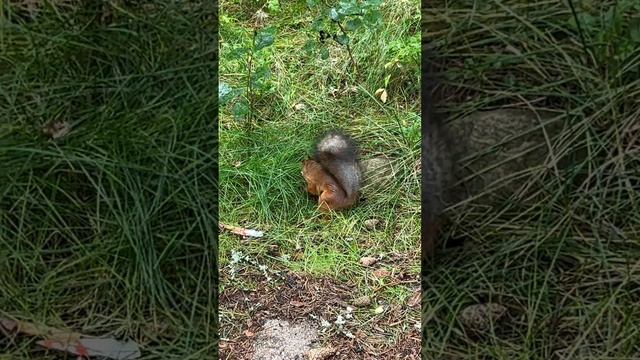 Делаем запасы на зиму