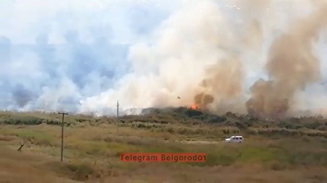 Пожар рядом с с. Ястребово, Белгородский район смотреть онлайн