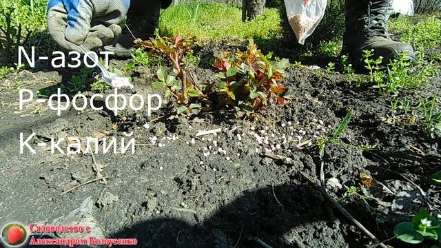 Строительные Тайны