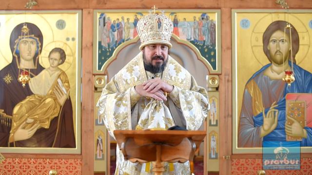 Слово митрополита Савватия по окончании Божественной литургии в 30-ю неделю по Пятидесятнице, святы смотреть онлайн