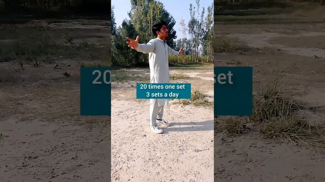 Taichi For Beginners Wudang Zidong