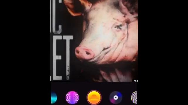 свинтус придёт смотреть онлайн