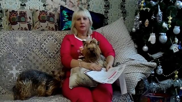 ЙОРКШИРСКИЕ ТЕРЬЕРЫ. УХОД И СОДЕРЖАНИЕ. ЧАСТЬ ПЕРВАЯ. смотреть онлайн