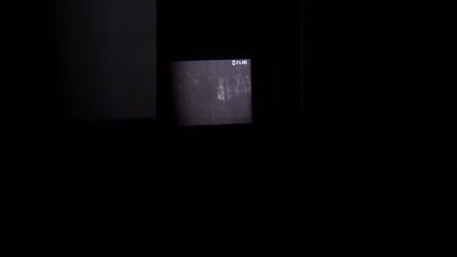 Possible thermal of a Sasquatch. Courtesy of Travis Bowen, Mannimal Research смотреть онлайн