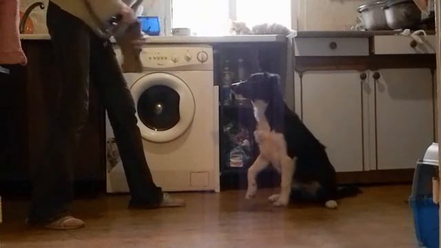 Нэо, домашняя тренировка\ Neo, training at home. смотреть онлайн