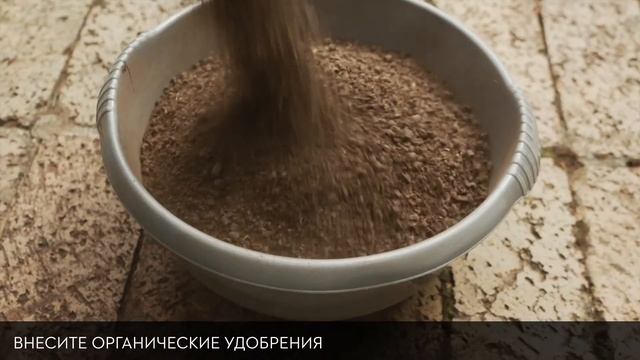 Как ухаживать за газоном осенью смотреть онлайн