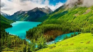 Хозяин и Мурзик