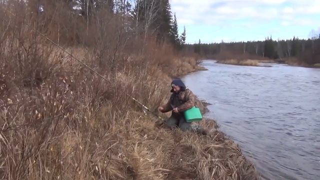 Рыбалка на хариуса осенью на поплавочную удочку 2018 Тайга охота Лес природа Отдых смотреть онлайн