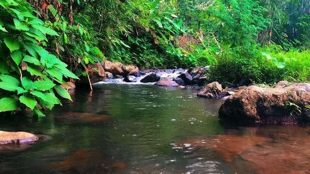 Relaxing River Sounds - Morning Vibes - one hour- Nature Videos-East Java Indonesia смотреть онлайн