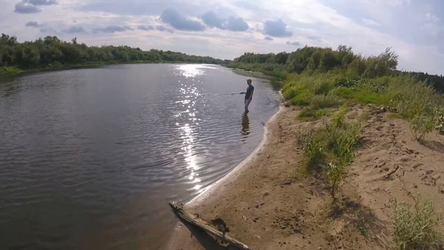 Скворцы в Усть-пинеге смотреть онлайн