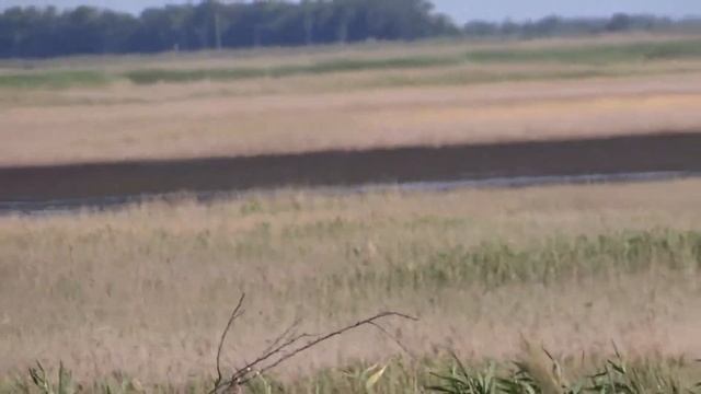 Ахтарские Солёные озёра (часть 1) смотреть онлайн