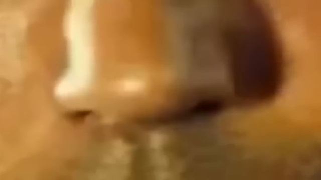 Filme de Ação Dublado CARGA EXPLOSIVA 2 Filme de Ação Dublado 480p смотреть онлайн