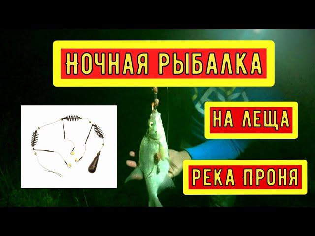 Ночная безумная рыбалка на леща. Река Проня Тульская область. смотреть онлайн