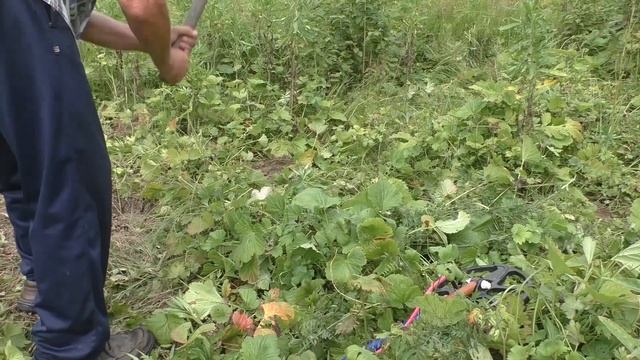 TRIO PROSPECTOR полевые испытания смотреть онлайн