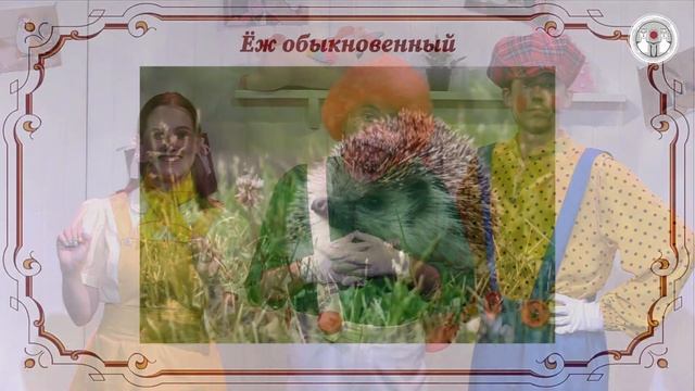 «По страницам Красной книги» – познавательная программа для детей смотреть онлайн