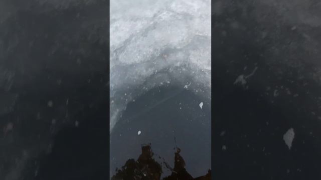 тест вудочки Lucky John зимой смотреть онлайн