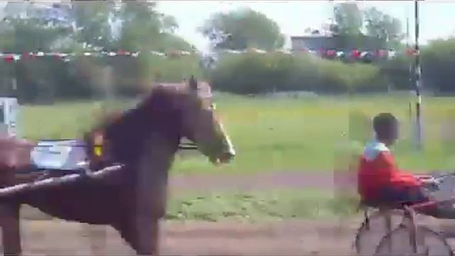 Конный 102 смотреть онлайн