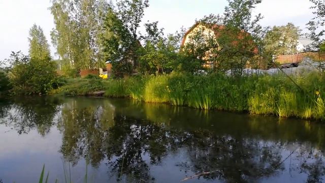 Прелести русского пруда на русской земле прекрасным летним утром 2020! Дачные диалоги с Верой) смотреть онлайн