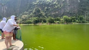 МОНСТРЫ ПХУКЕТА, рыбалка в Тайланде, поймали огромного карпа и злобную Арапайму.