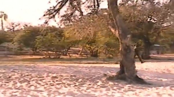 Lake Bangweulu-One of the hidden wonders.