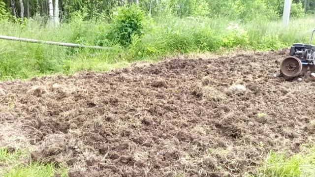 Приводим в порядок небольшой квадратный участок между картофельными полями недопаханный плугом. смотреть онлайн